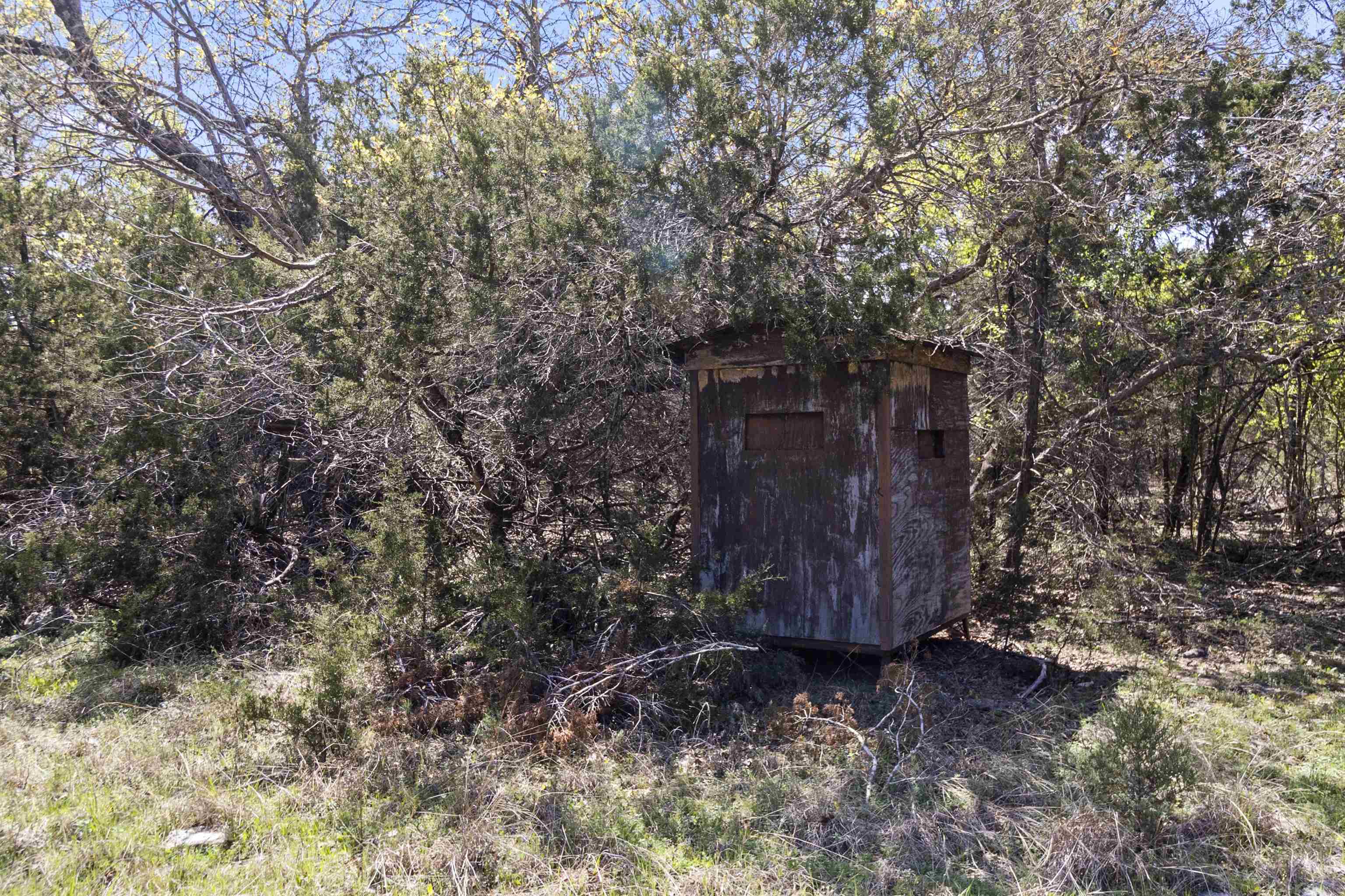 4319 N US-281 Highway