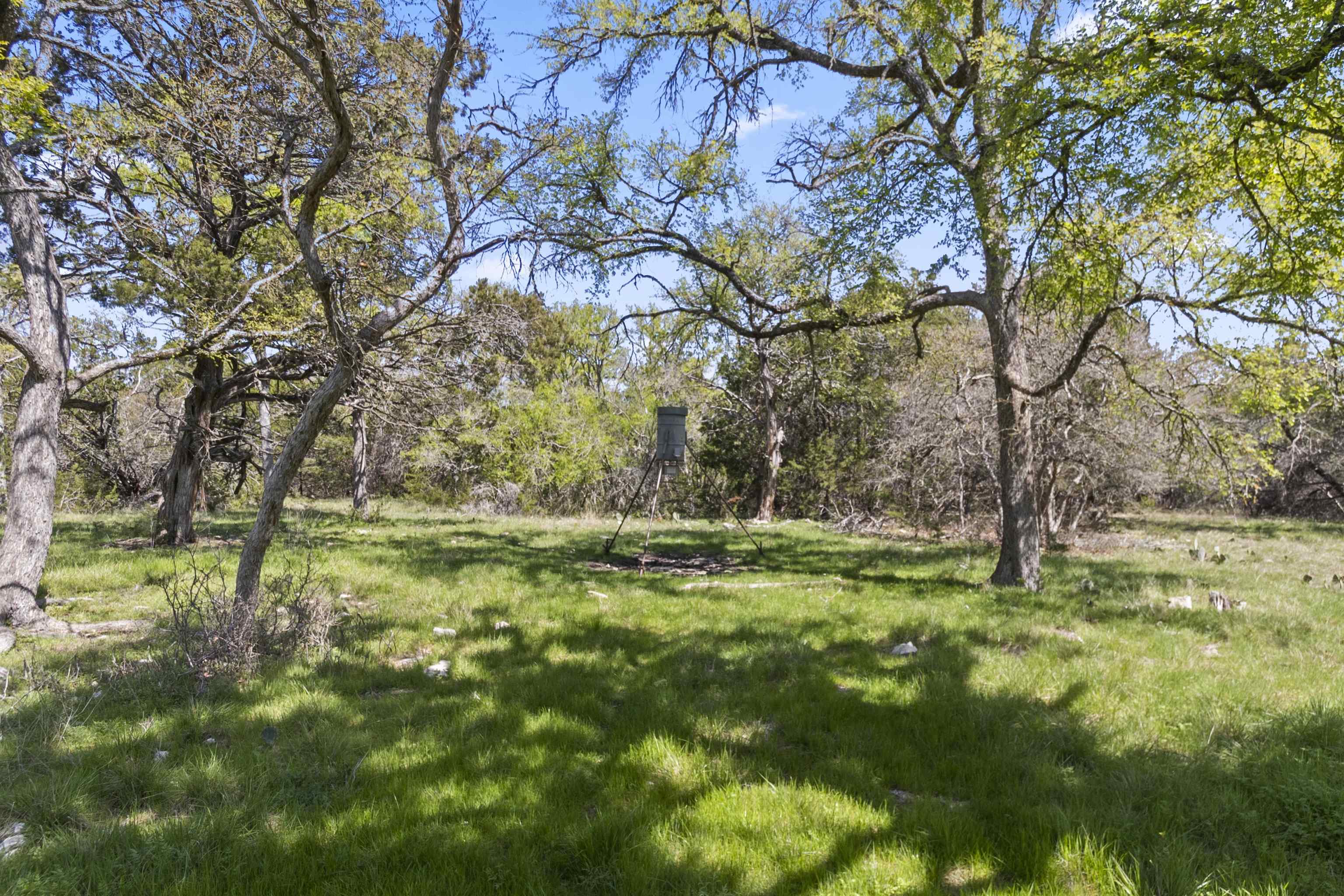 4319 N US-281 Highway