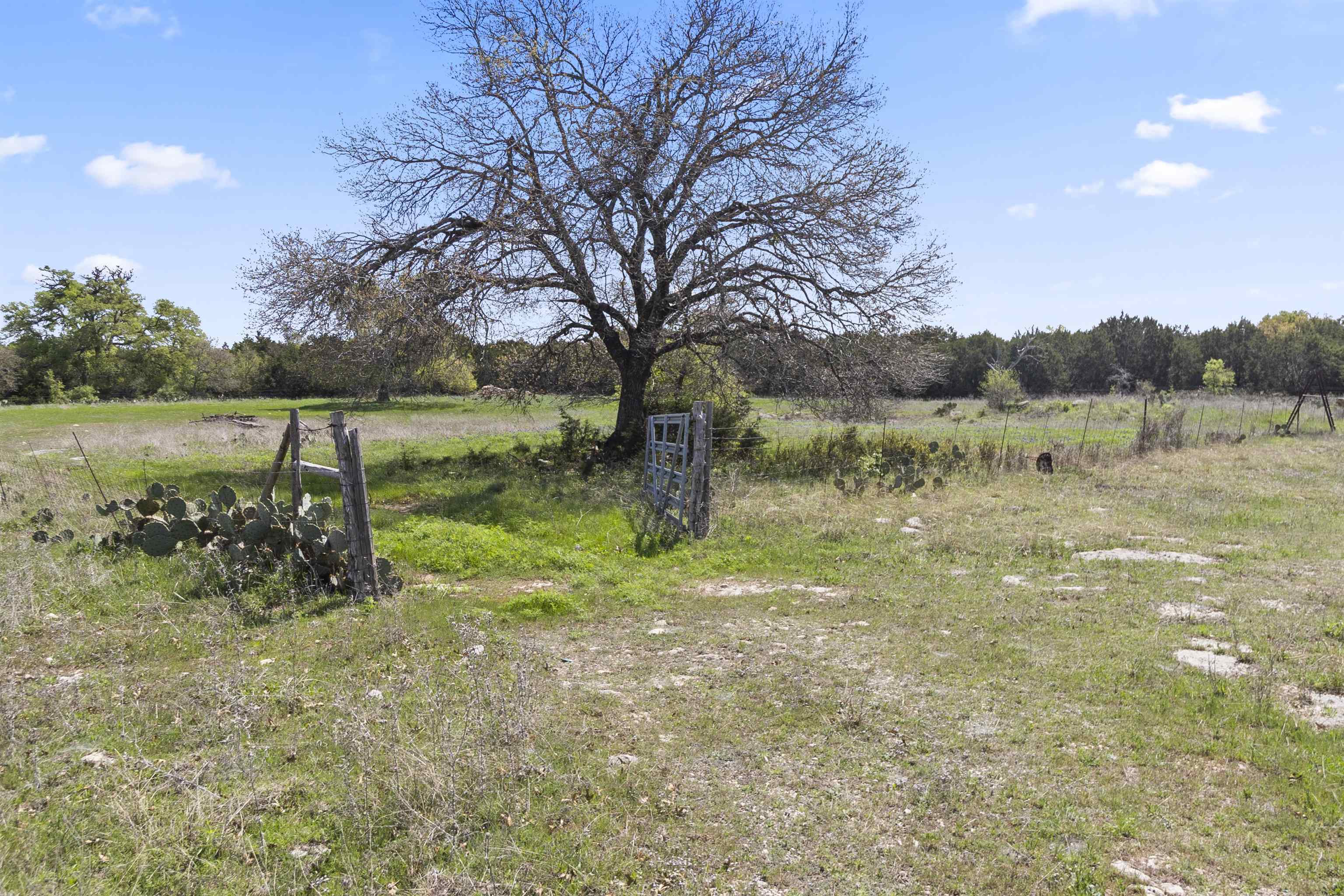 4319 N US-281 Highway