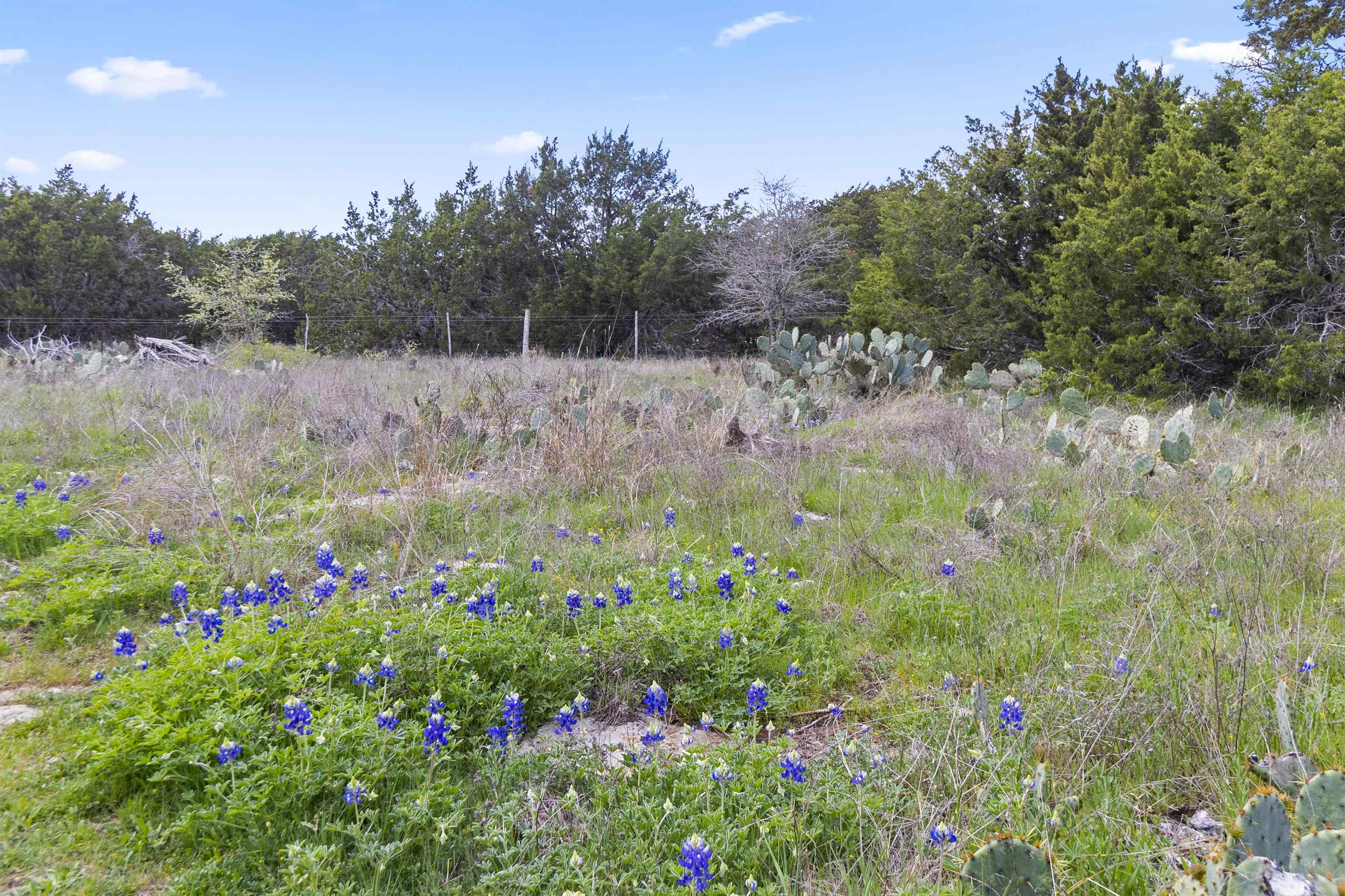 4319 N US-281 Highway