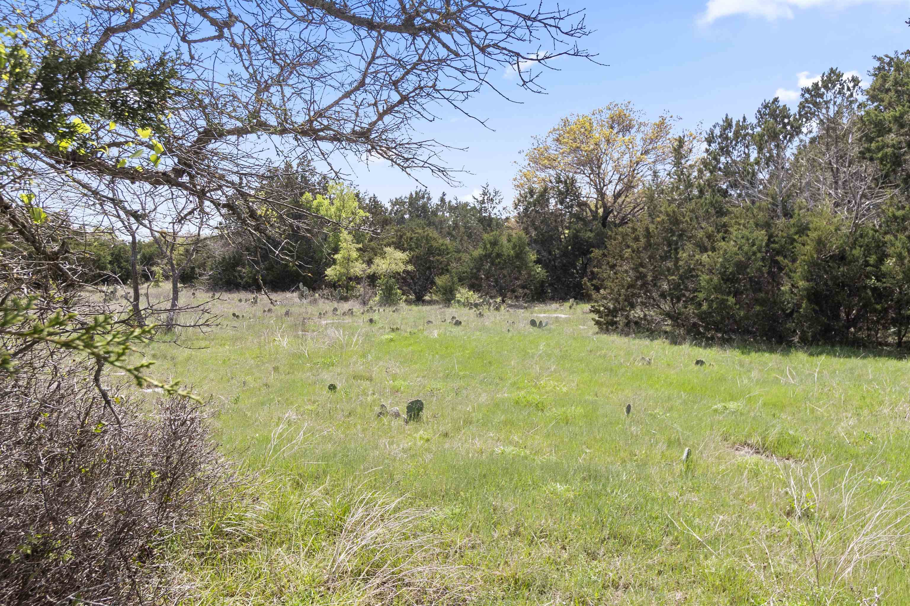 4319 N US-281 Highway