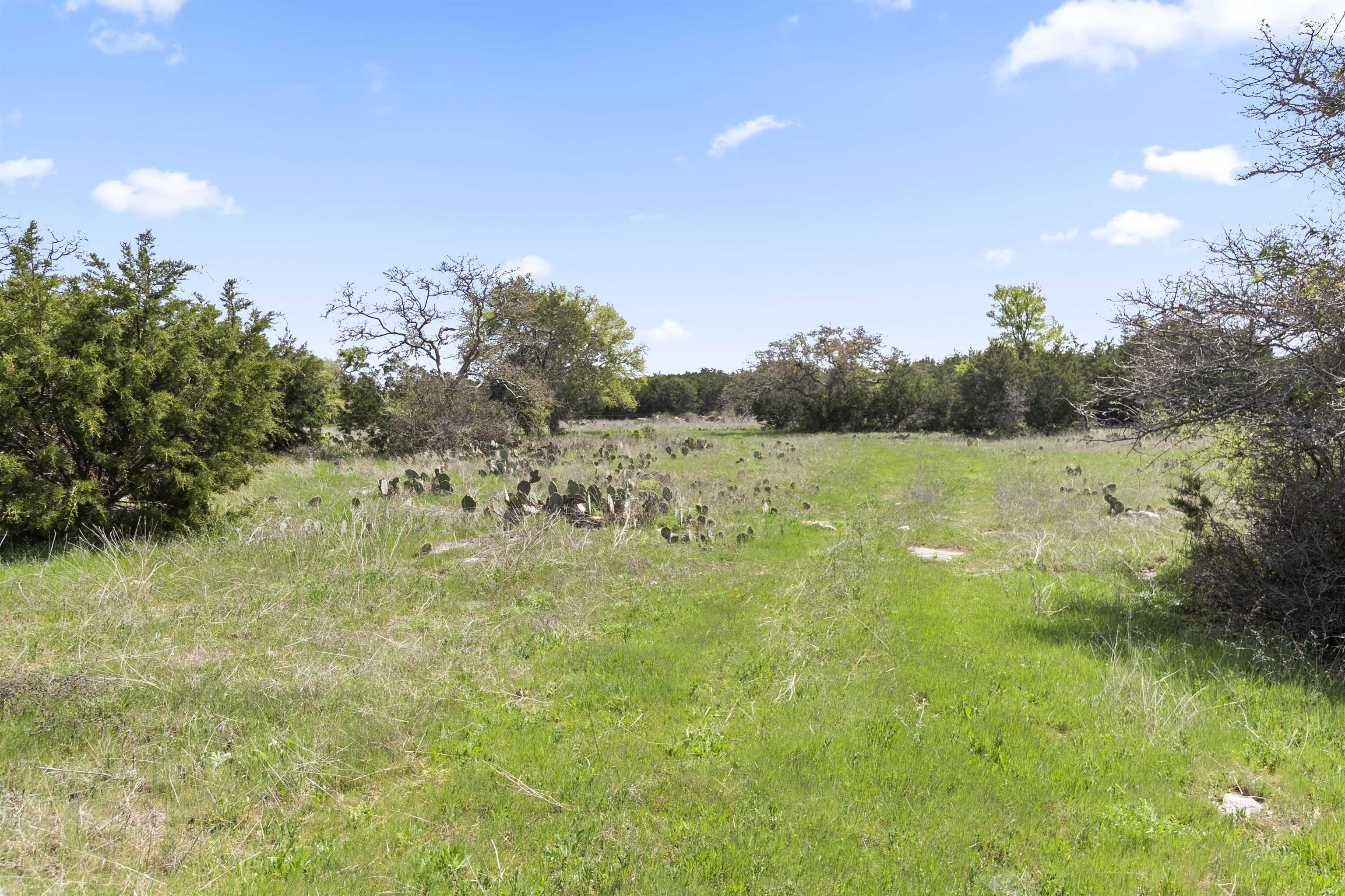 4319 N US-281 Highway