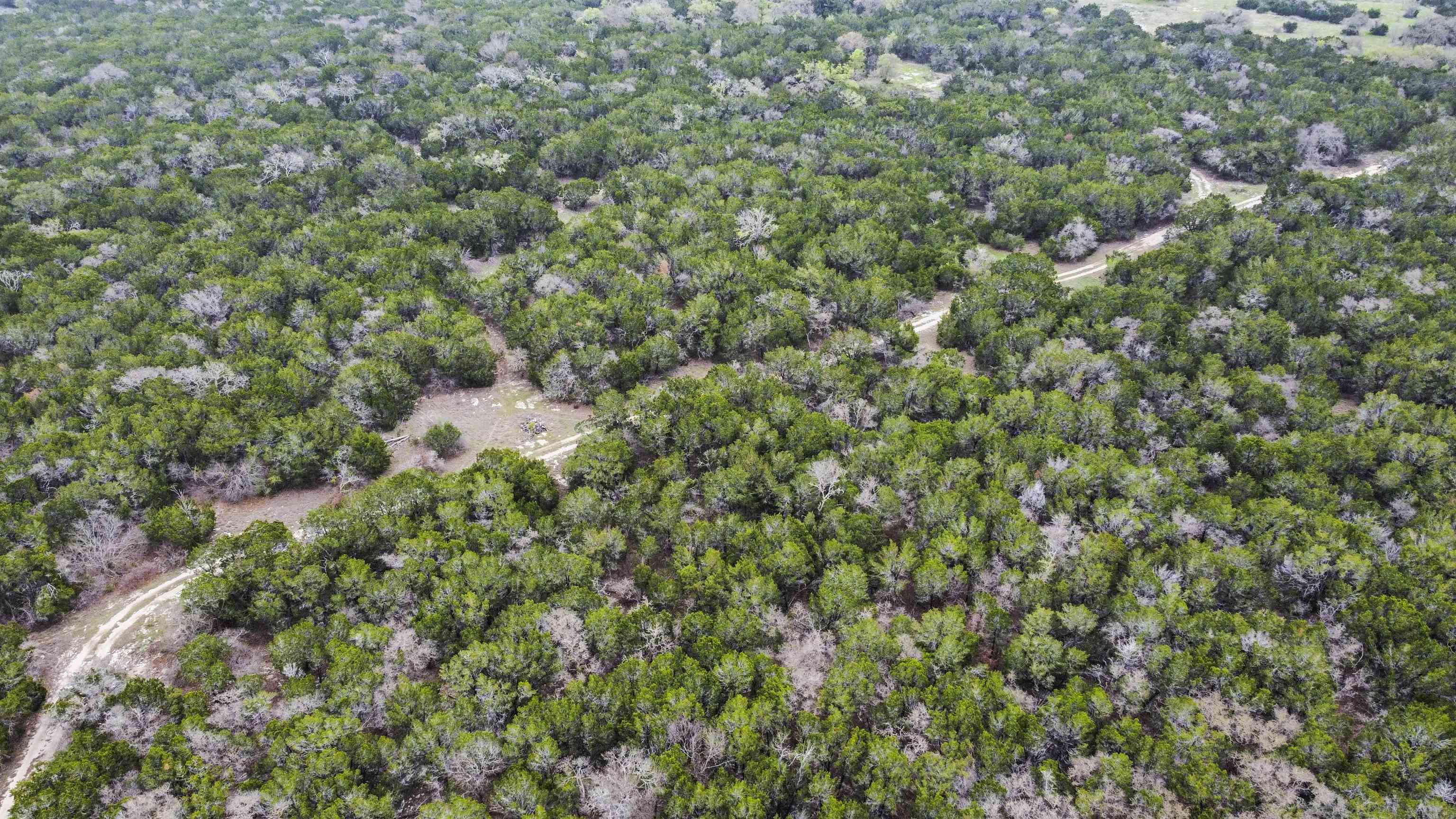 4319 N US-281 Highway