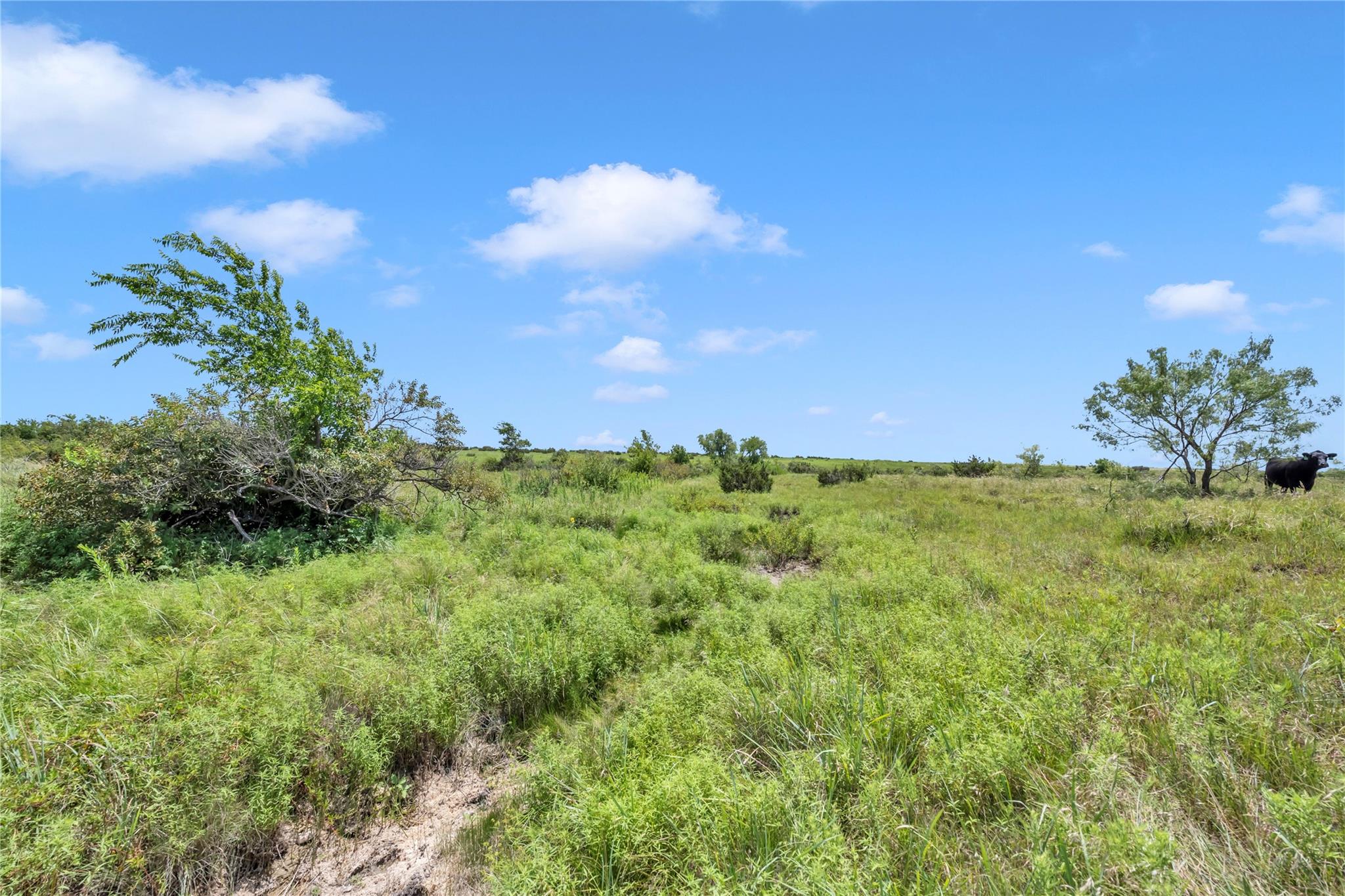 10600 County Road 210 RD
