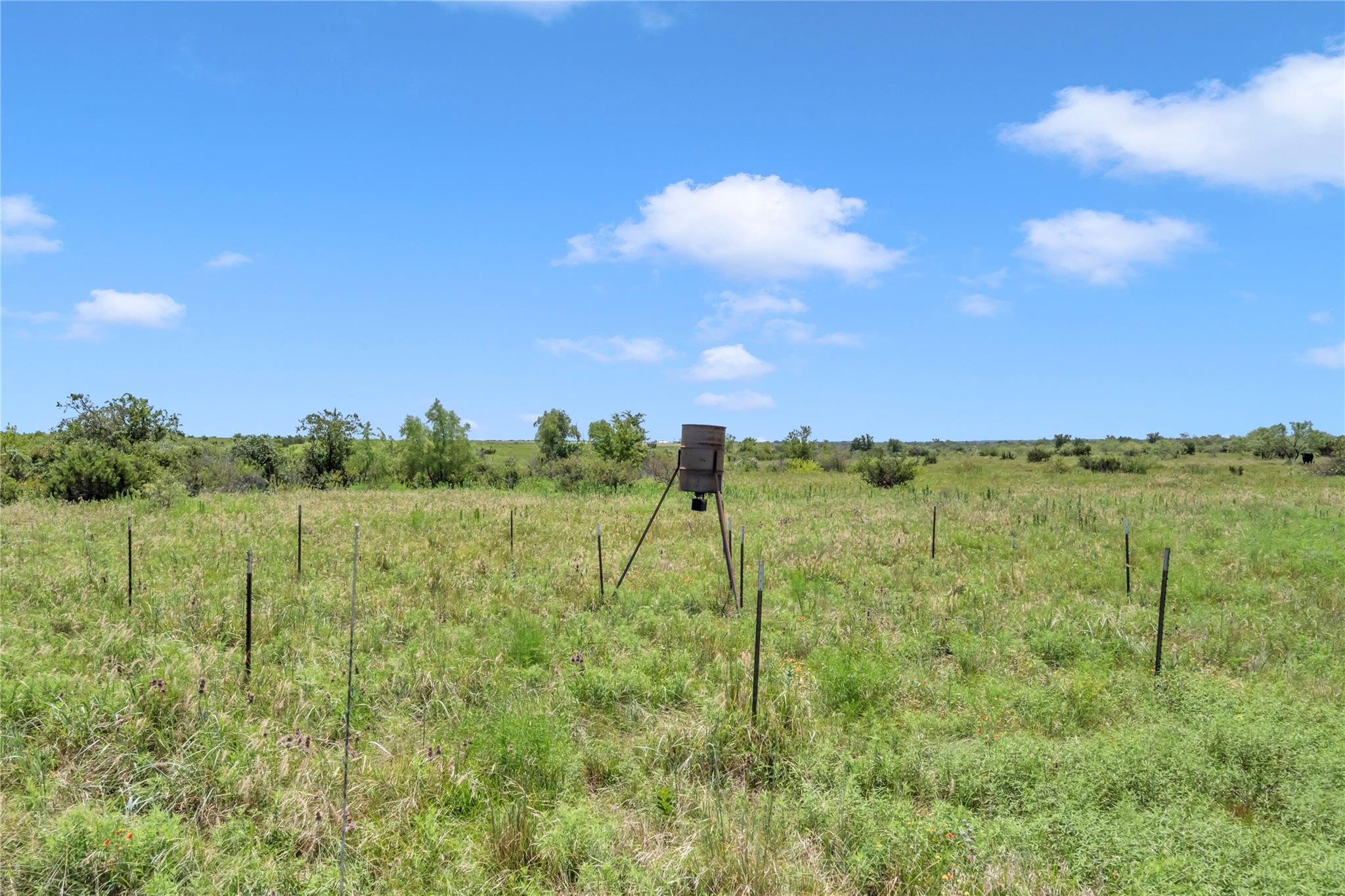 10600 County Road 210 RD
