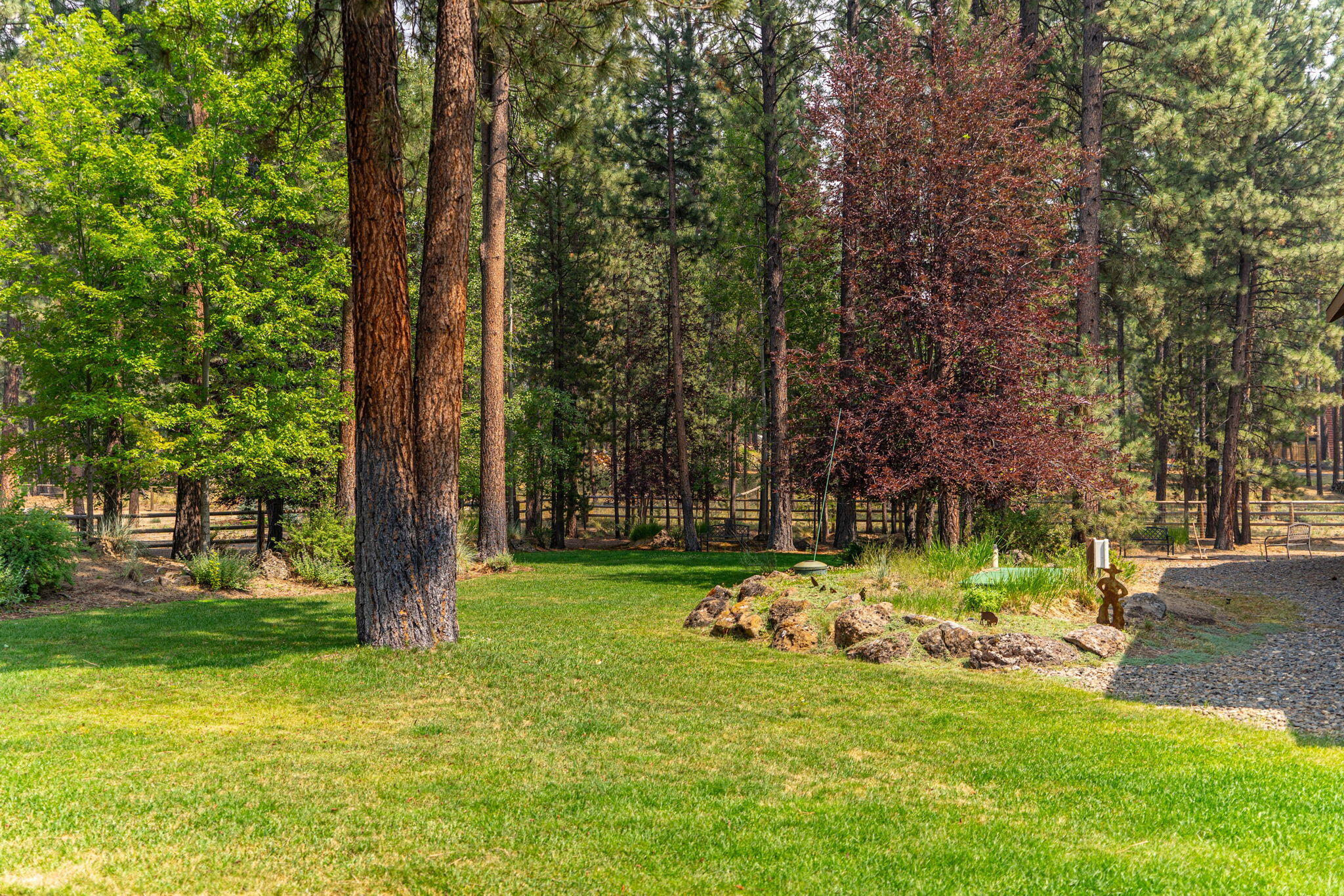 55000 Forest Lane