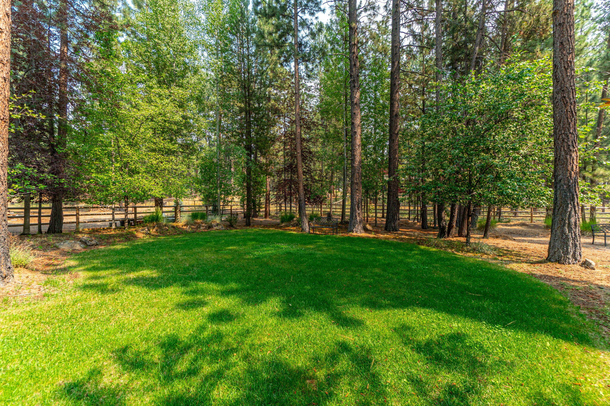 55000 Forest Lane