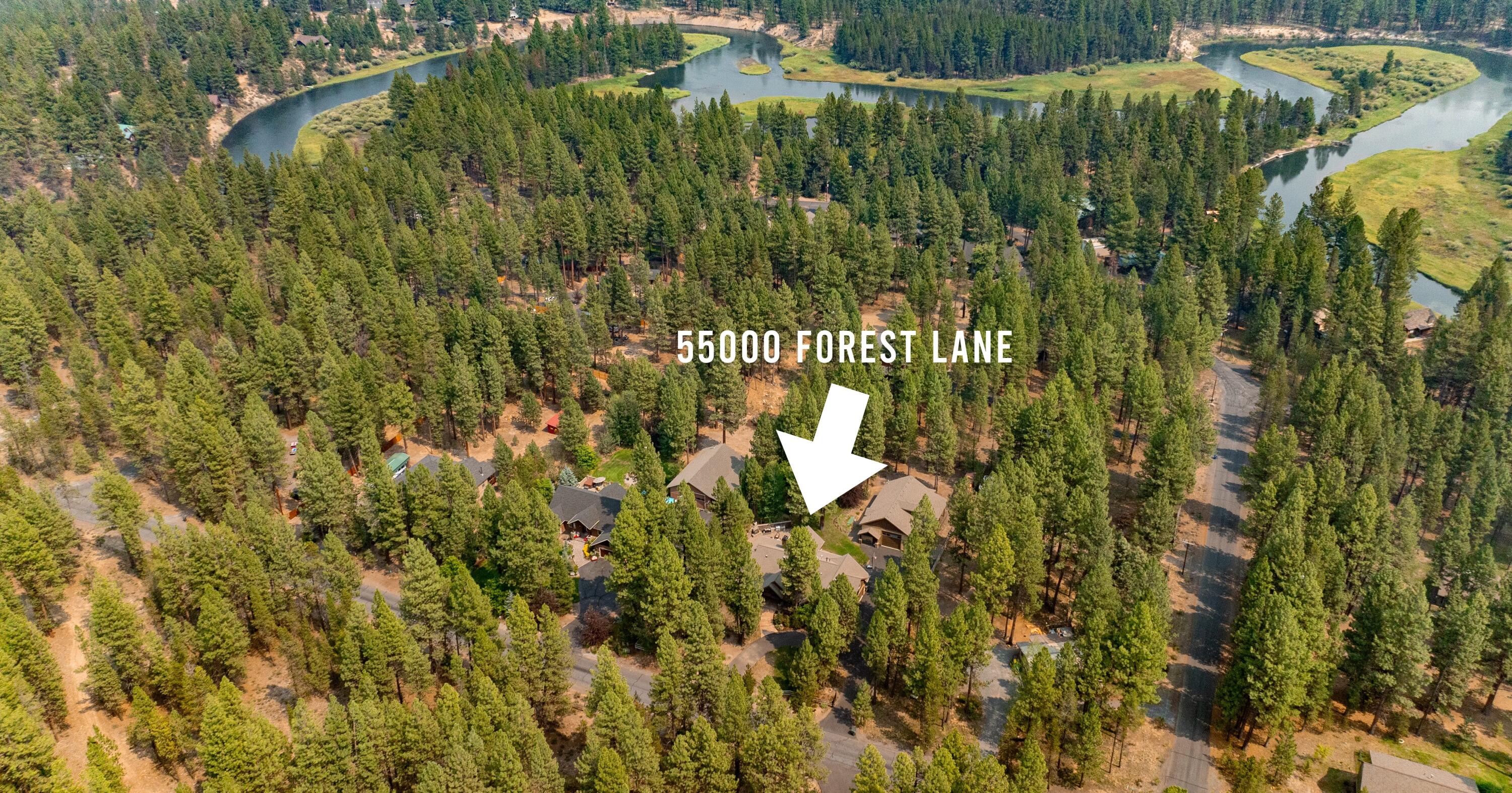 55000 Forest Lane