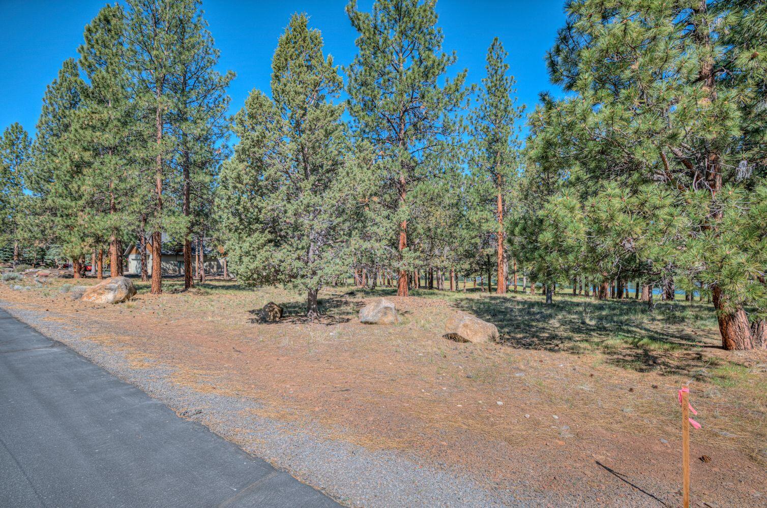 16932 Royal Coachman Drive