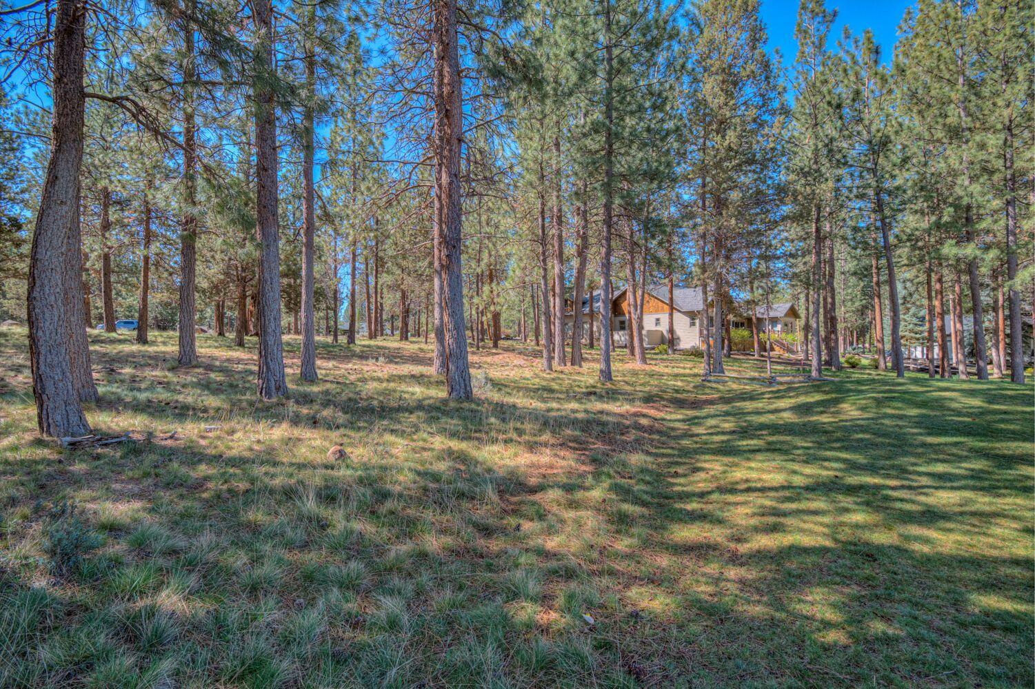16932 Royal Coachman Drive