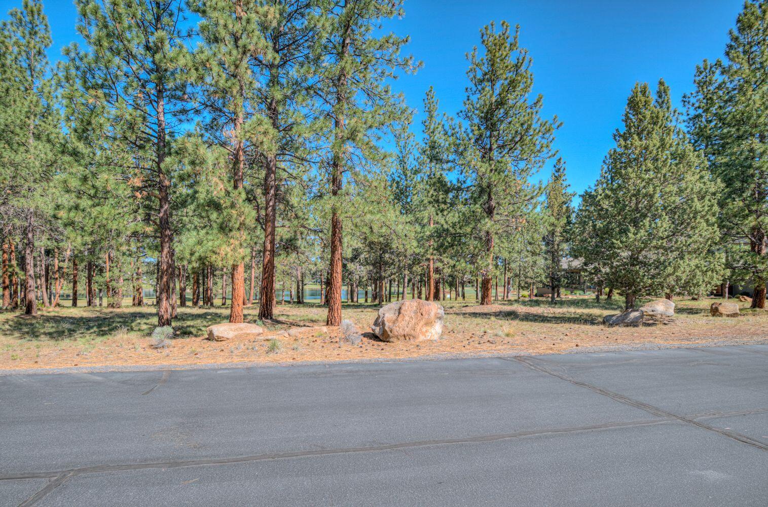 16932 Royal Coachman Drive
