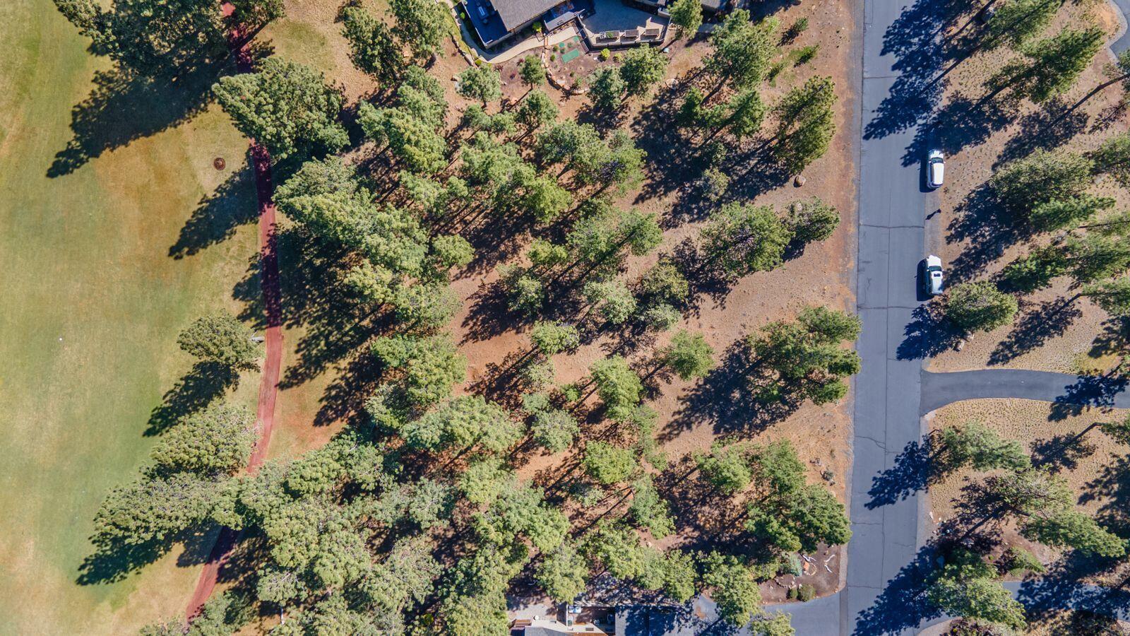16932 Royal Coachman Drive