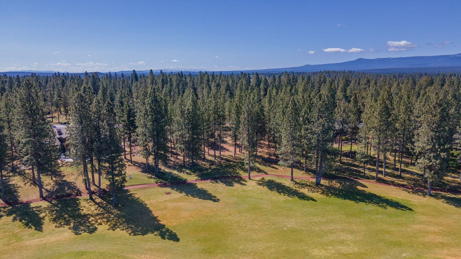 16932 Royal Coachman Drive
