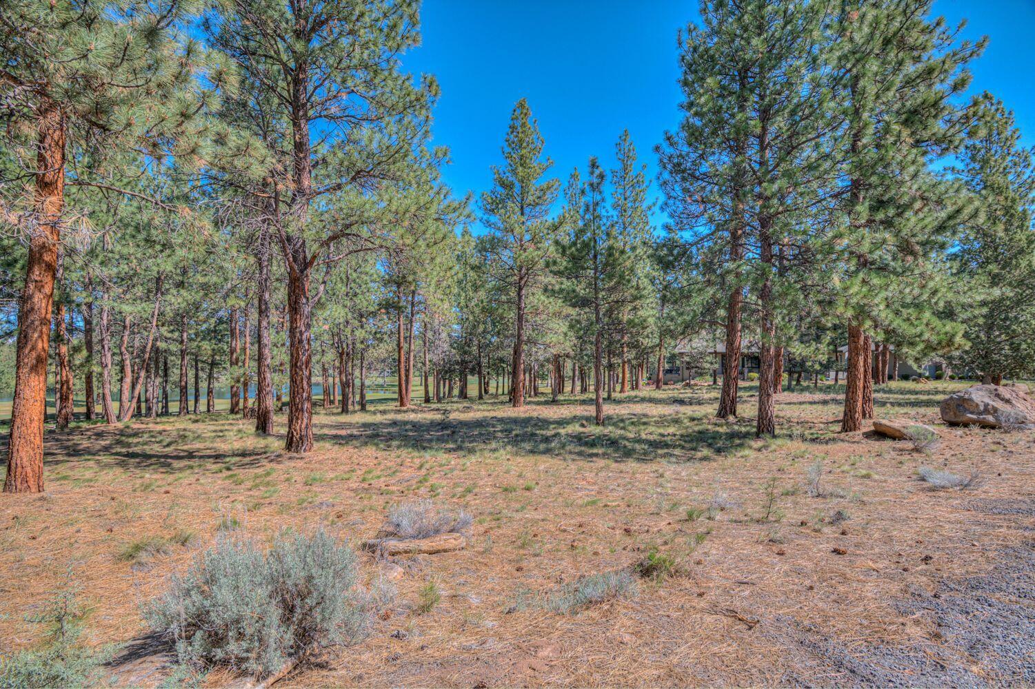 16932 Royal Coachman Drive