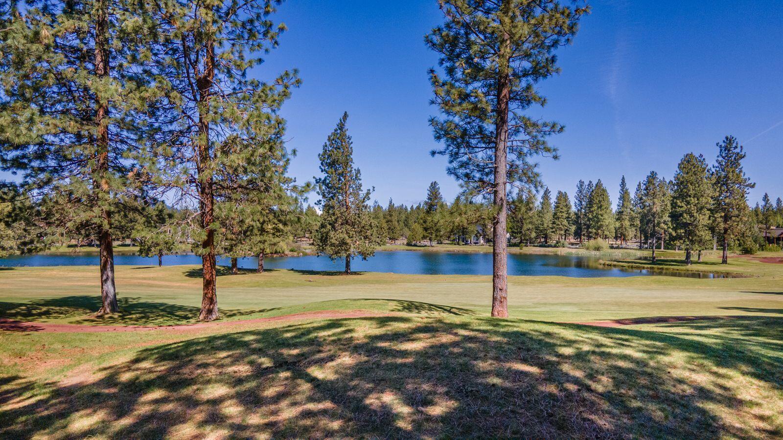 16932 Royal Coachman Drive