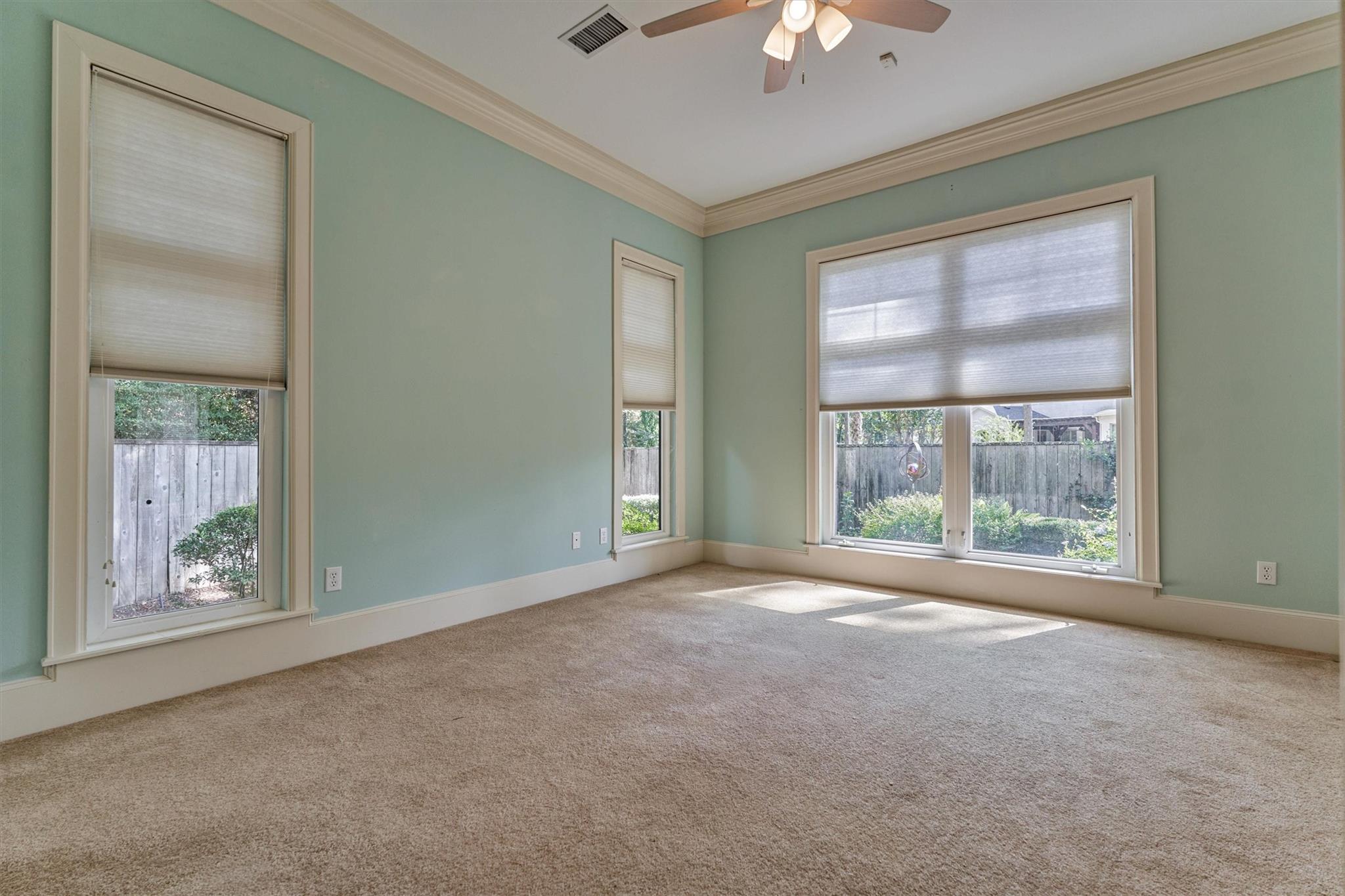 3 Star Fern Place