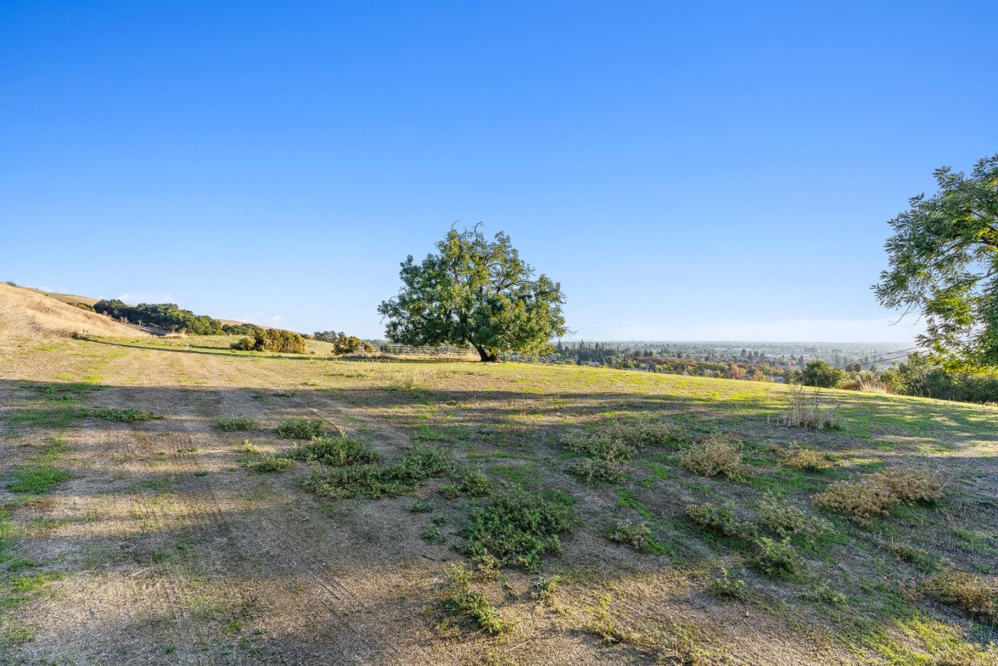1995 Old Calaveras Road