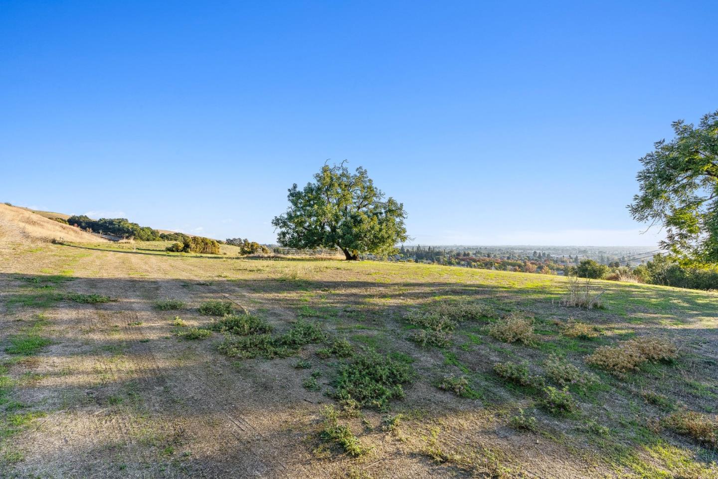 1995 Old Calaveras Road