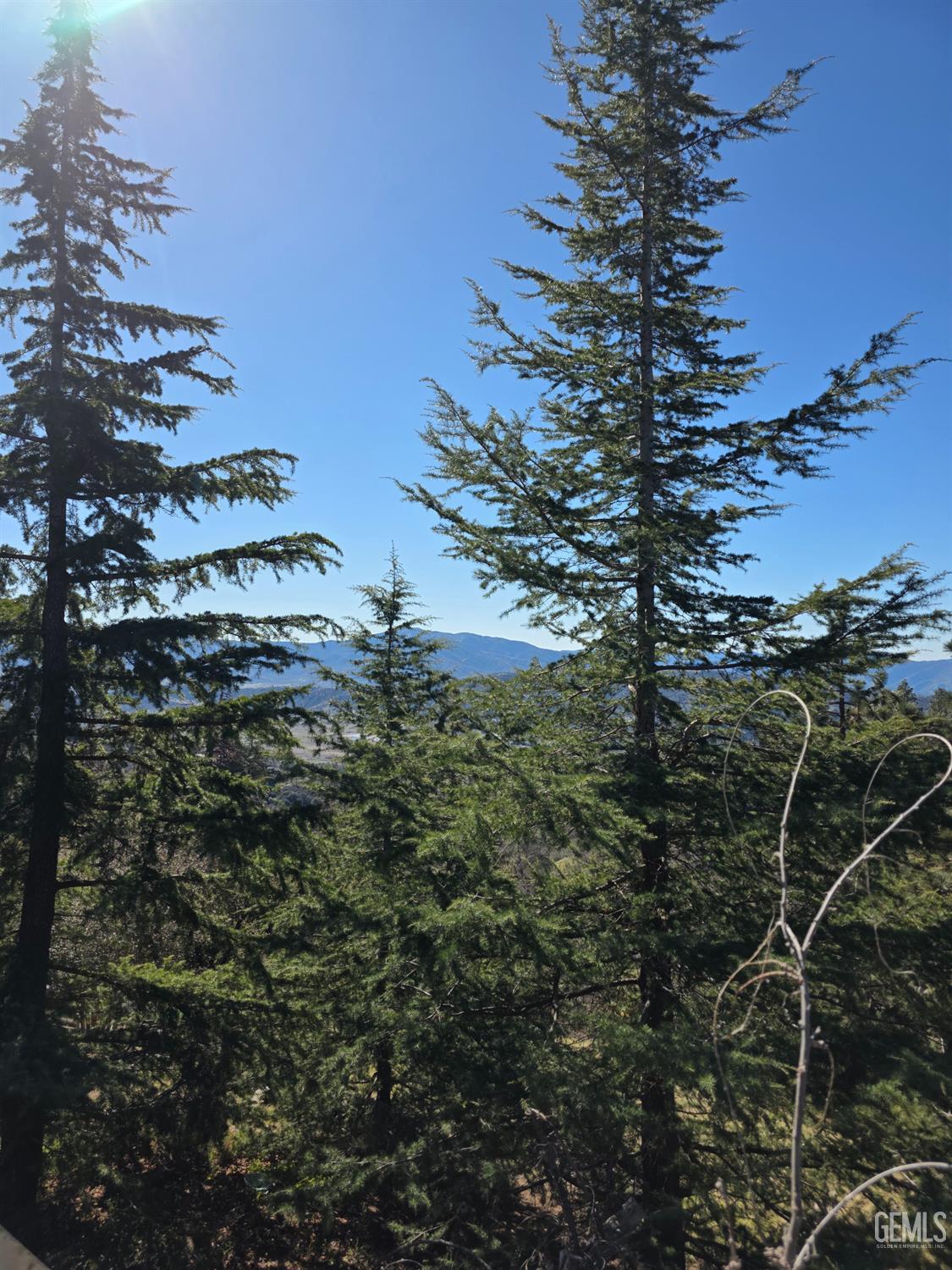 25860 Deertrail Drive