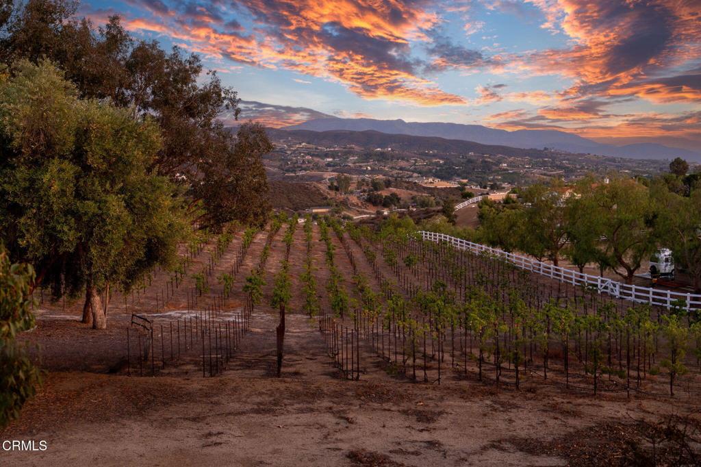 38470 Ave De La Bandolero