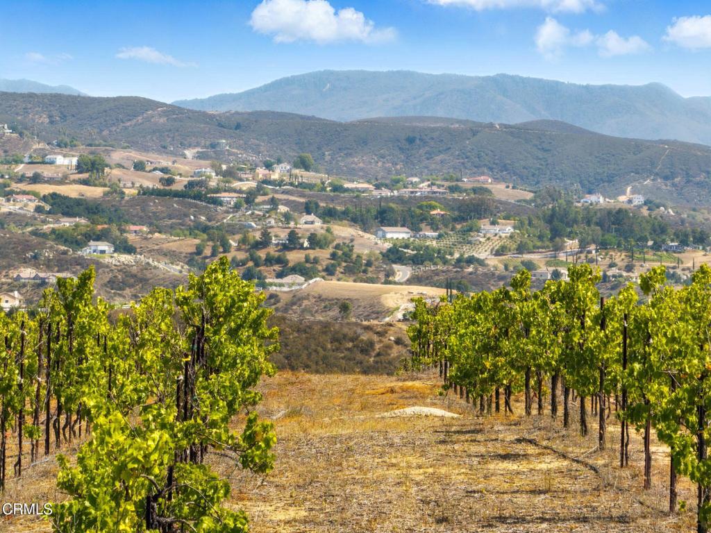 38470 Ave De La Bandolero