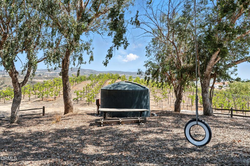 38470 Ave De La Bandolero