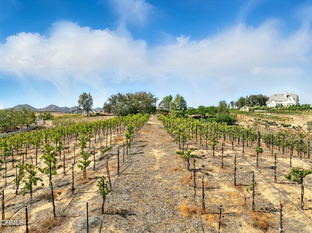 38470 Ave De La Bandolero