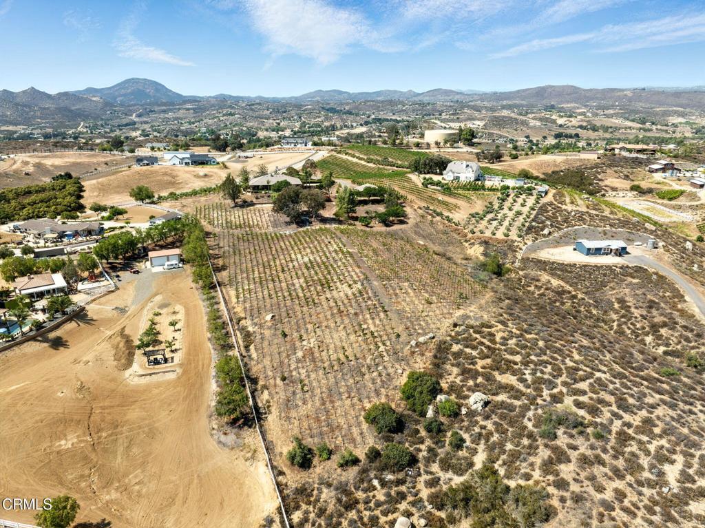 38470 Ave De La Bandolero