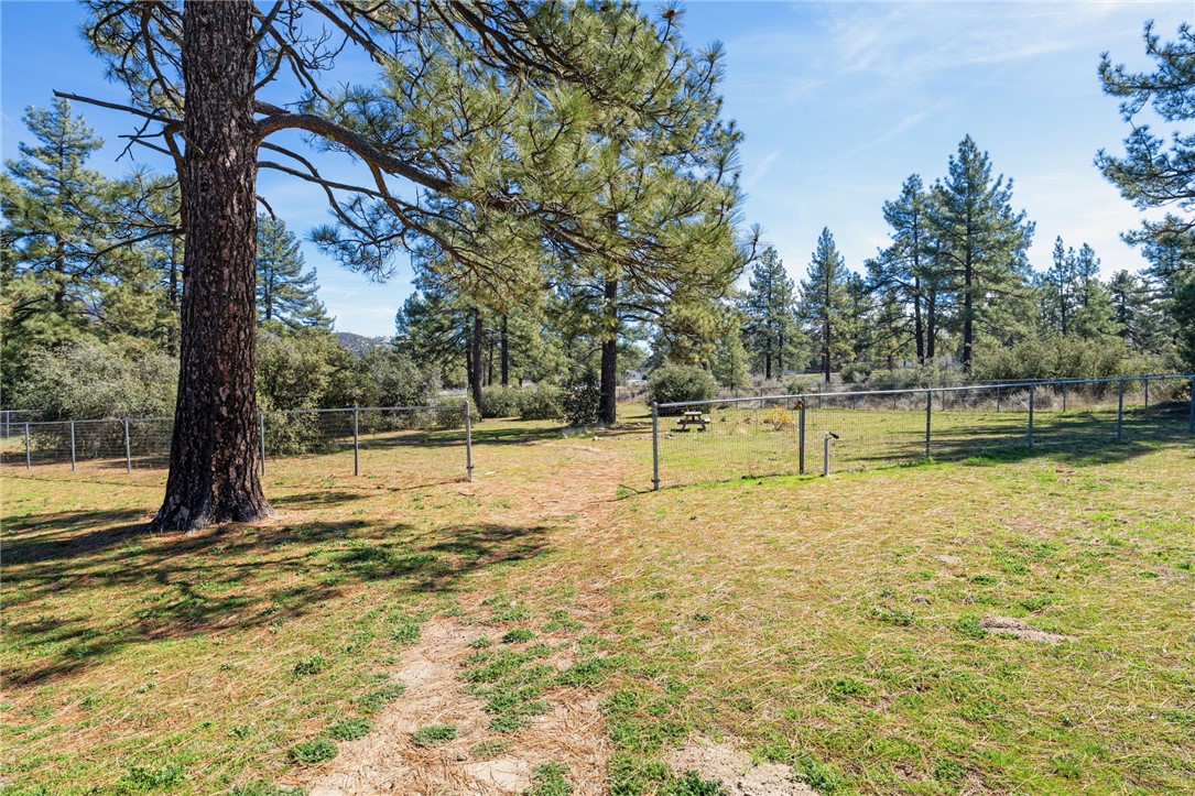 60164 Devils Ladder Road