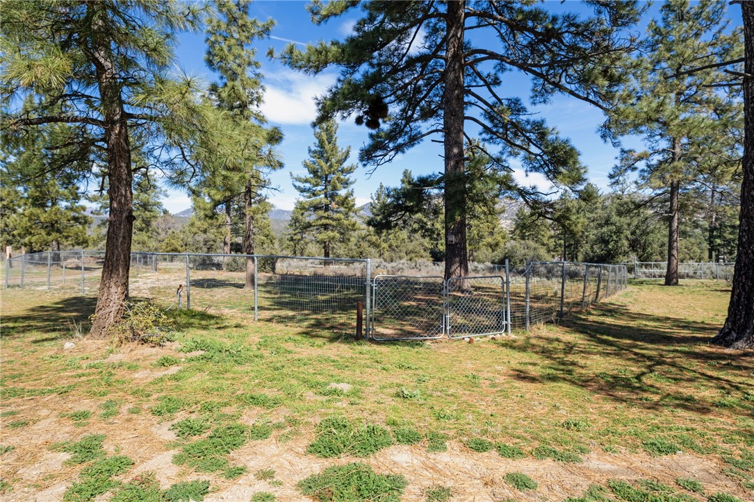 60164 Devils Ladder Road