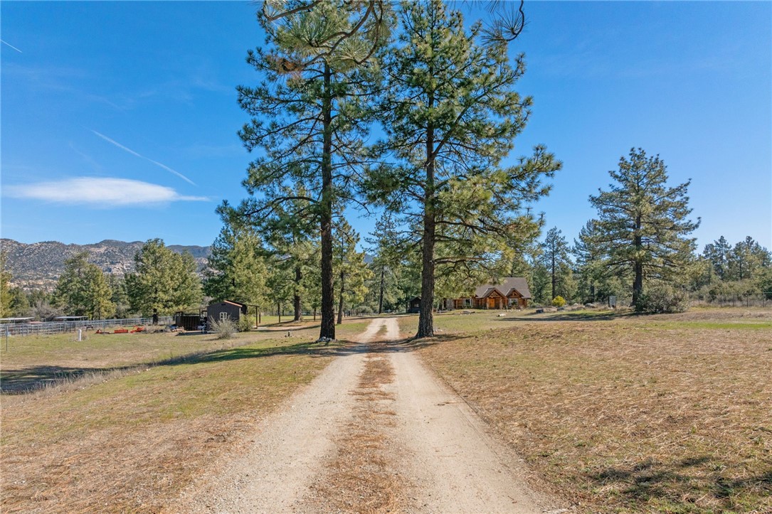 60164 Devils Ladder Road