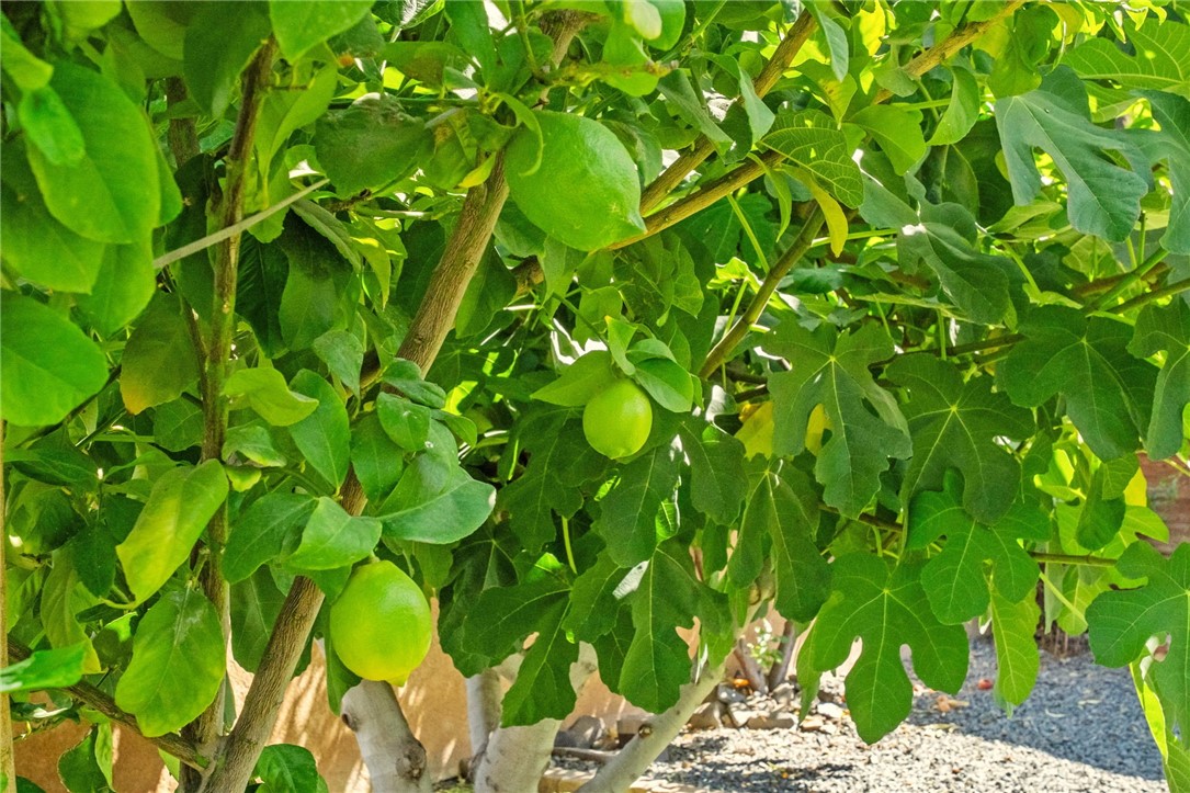 29117 Big Range Road