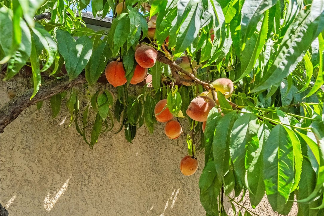 29117 Big Range Road