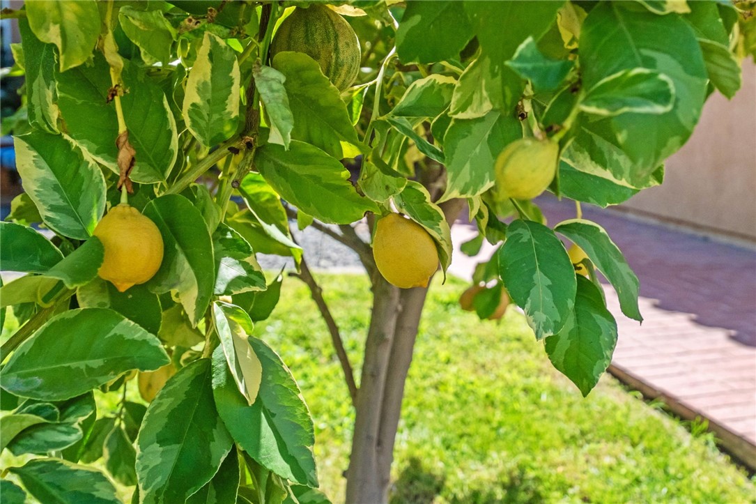 29117 Big Range Road