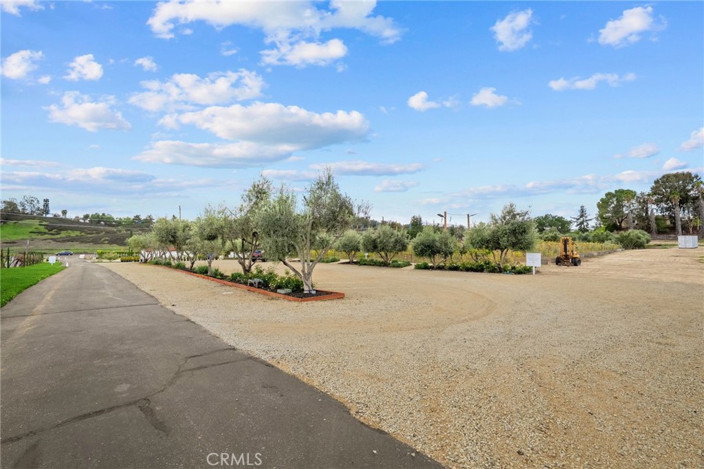 41309 Avenida Biona