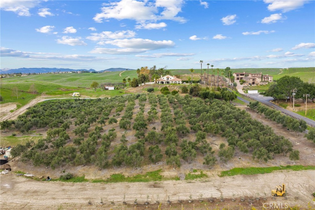41309 Avenida Biona