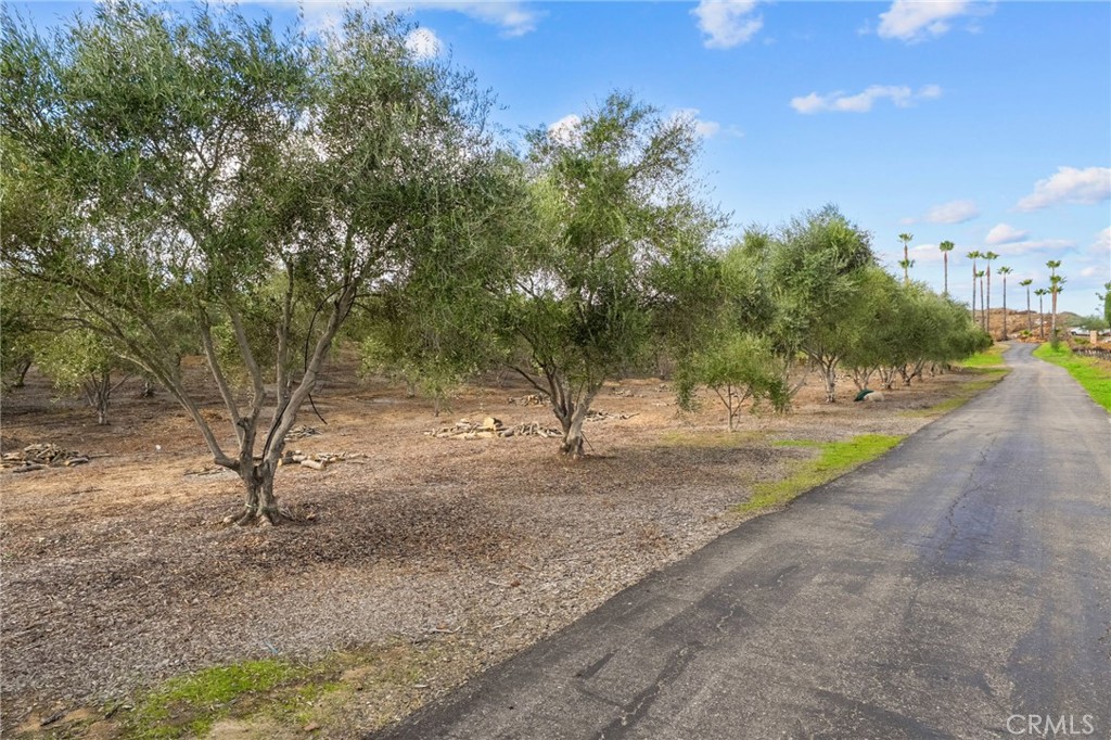 41309 Avenida Biona