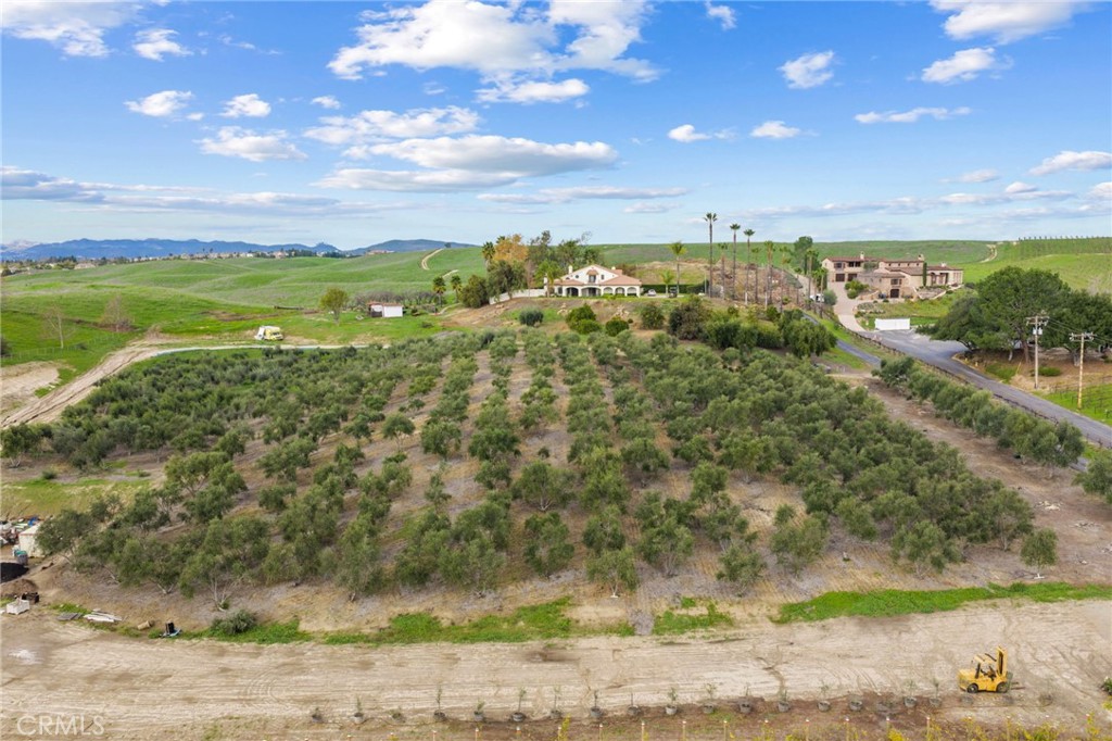 41309 Avenida Biona