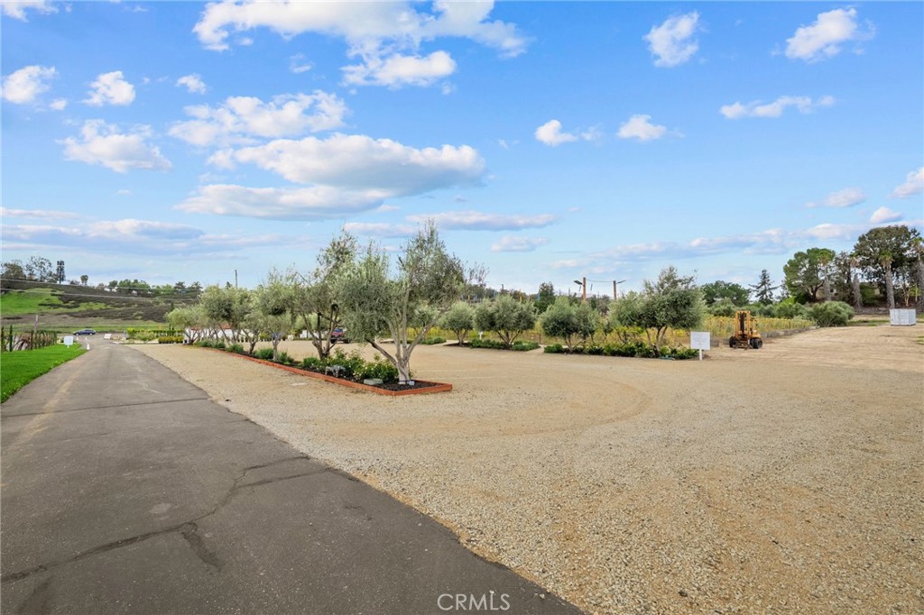 41309 Avenida Biona