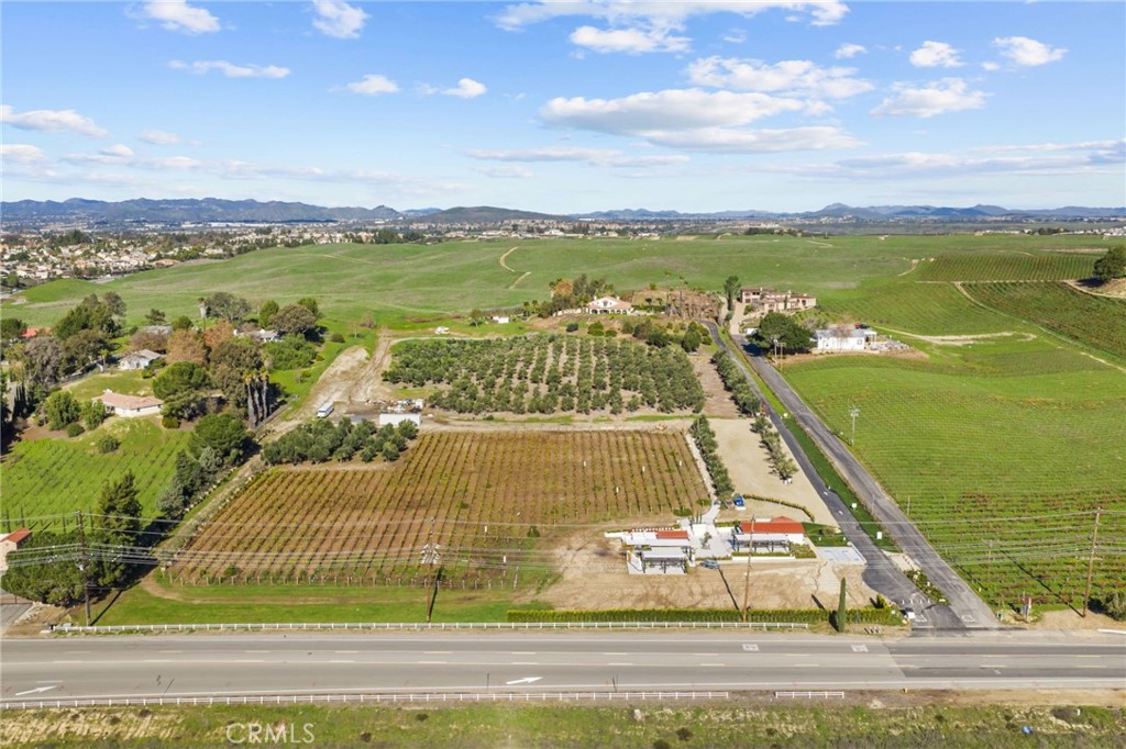 41309 Avenida Biona