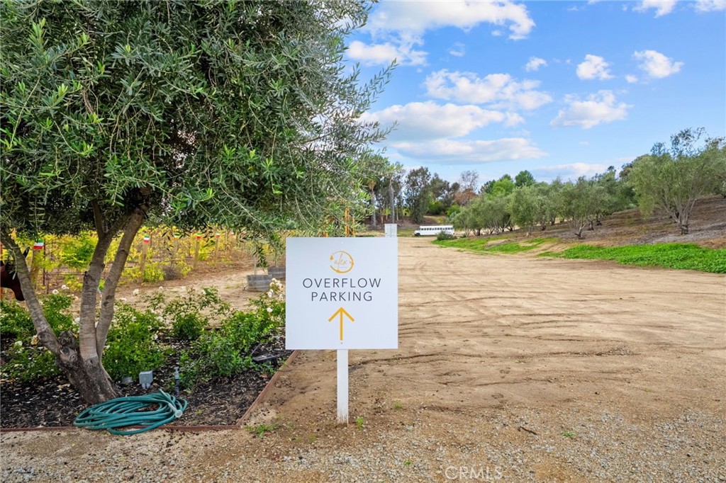 41309 Avenida Biona