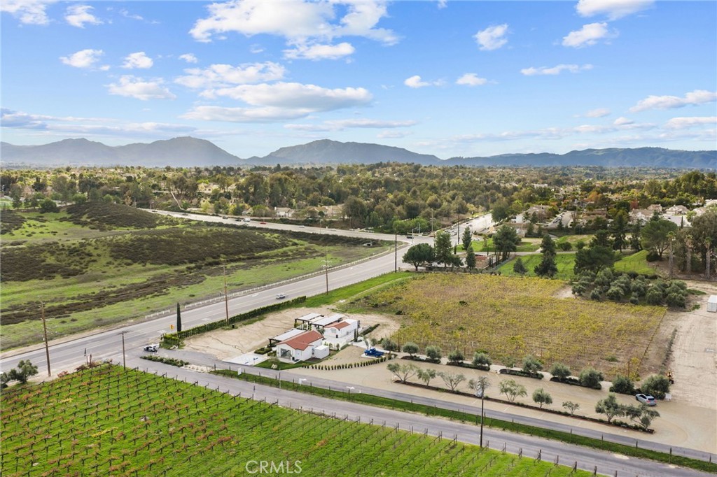 41309 Avenida Biona