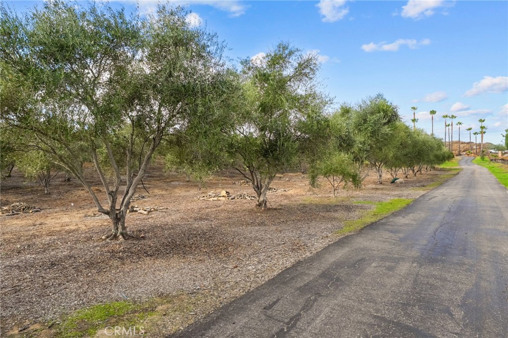 41309 Avenida Biona