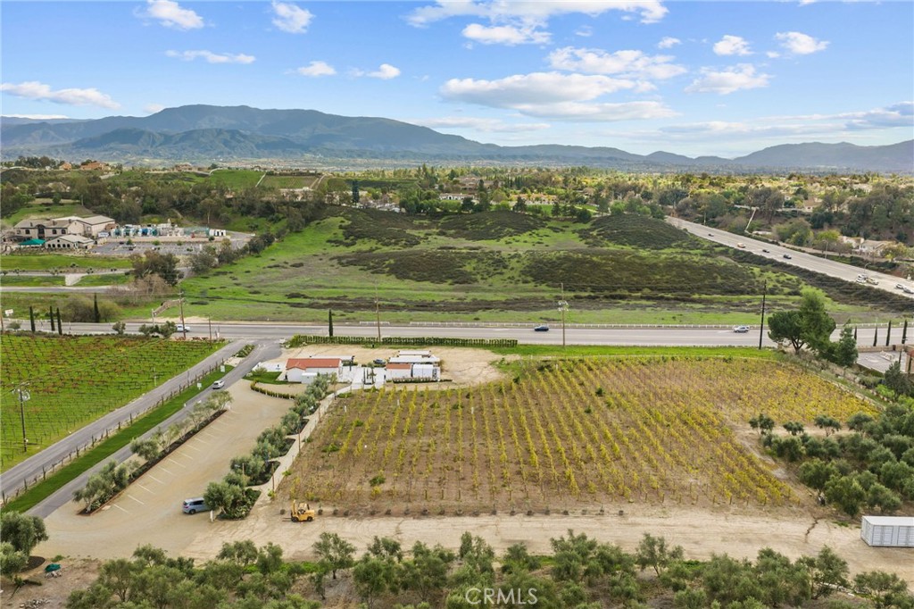 41309 Avenida Biona
