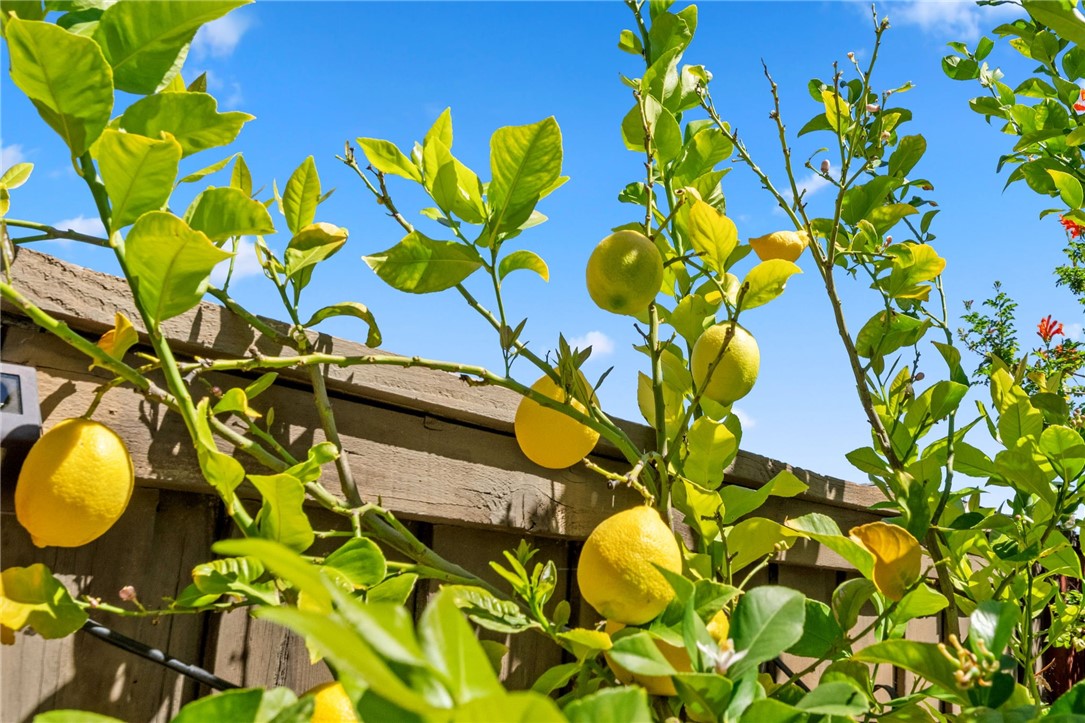 38232 Placer Creek Street