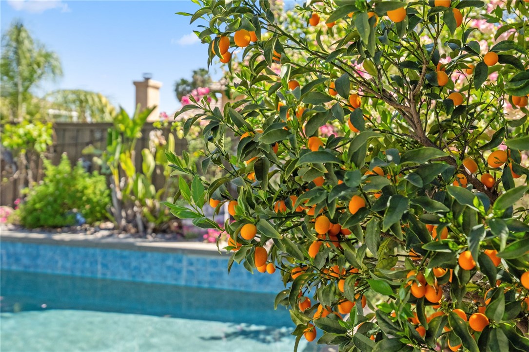 38232 Placer Creek Street