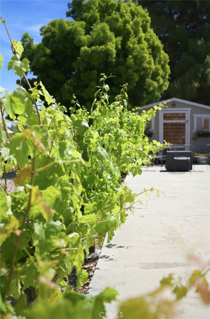 41714 Avenida De Anita