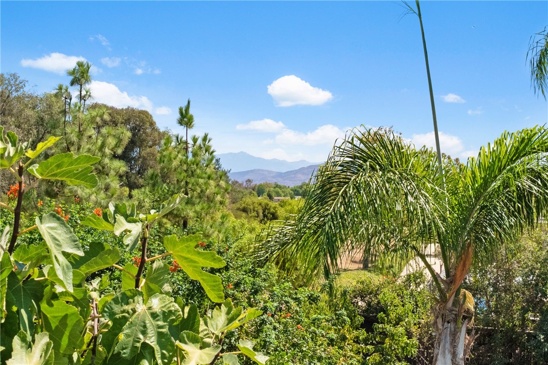 33562 Delphinium Lane