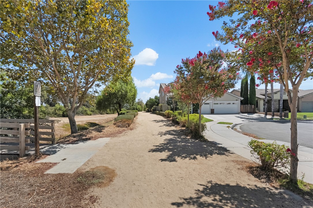 33562 Delphinium Lane