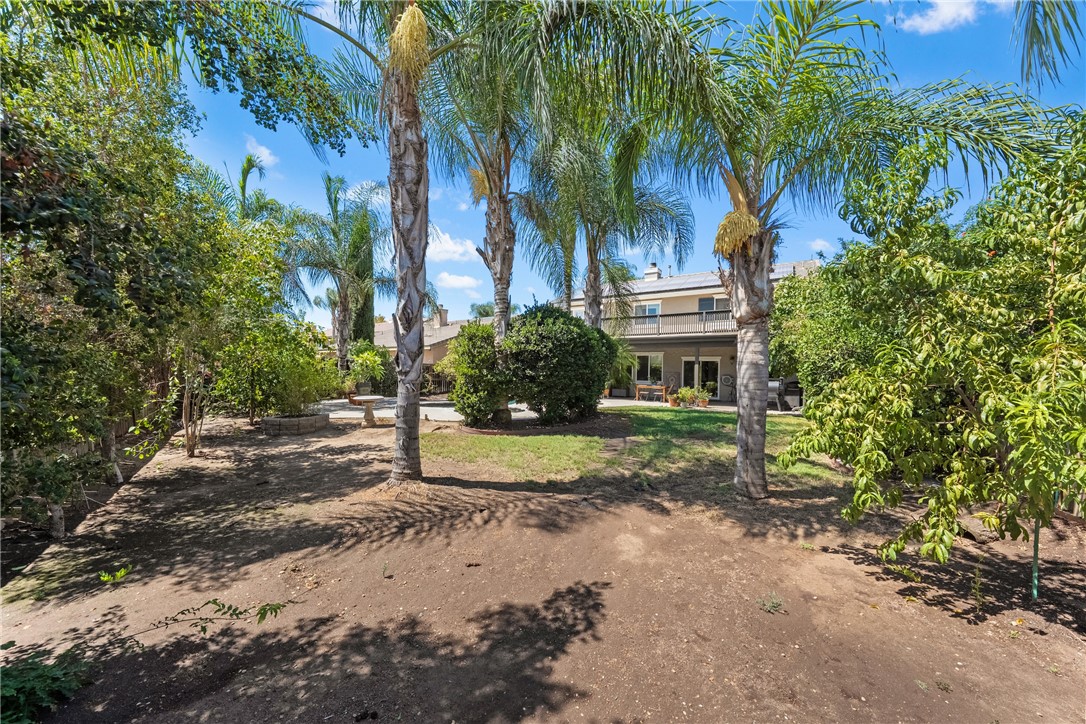 33562 Delphinium Lane